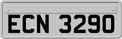ECN3290