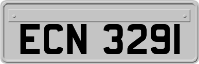 ECN3291