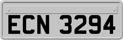 ECN3294