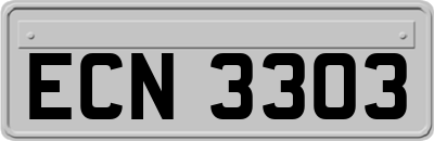 ECN3303