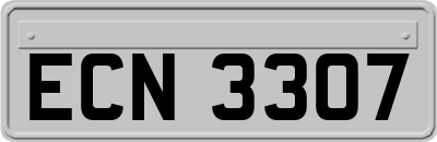 ECN3307