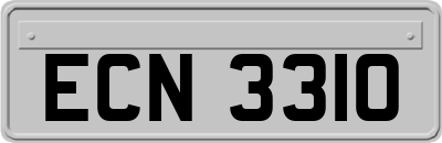 ECN3310