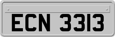 ECN3313