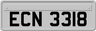 ECN3318