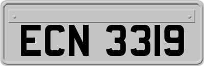 ECN3319