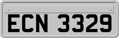 ECN3329