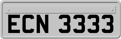 ECN3333