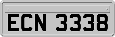 ECN3338