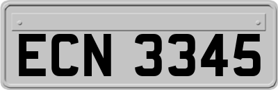 ECN3345
