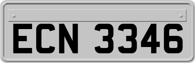 ECN3346