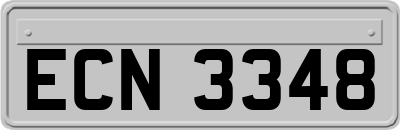 ECN3348
