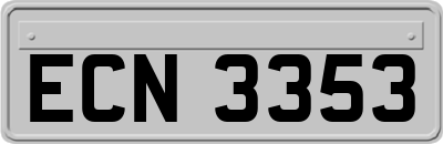 ECN3353