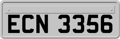 ECN3356