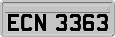 ECN3363