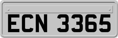 ECN3365