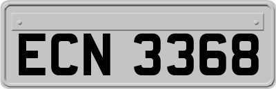 ECN3368