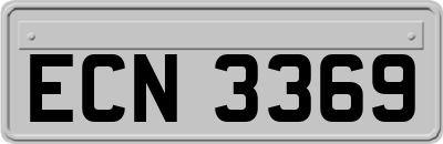 ECN3369