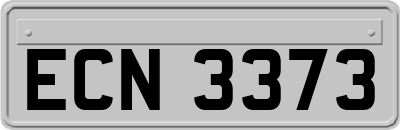 ECN3373