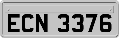 ECN3376
