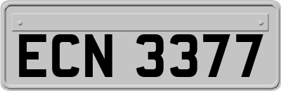 ECN3377