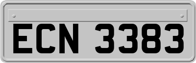 ECN3383