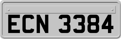 ECN3384