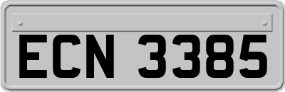 ECN3385