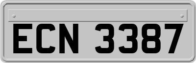 ECN3387