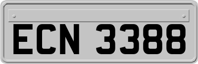 ECN3388