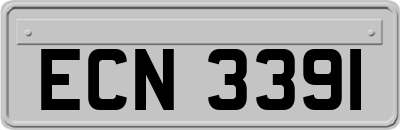 ECN3391