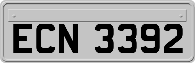 ECN3392