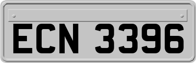 ECN3396