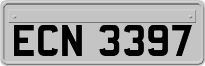 ECN3397