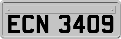 ECN3409