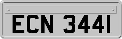 ECN3441