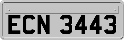 ECN3443