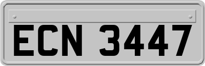 ECN3447