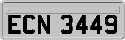 ECN3449