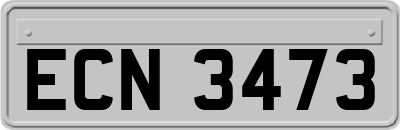 ECN3473