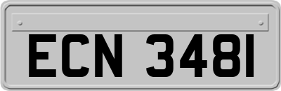 ECN3481