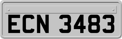 ECN3483