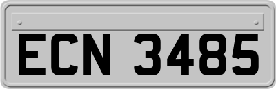 ECN3485