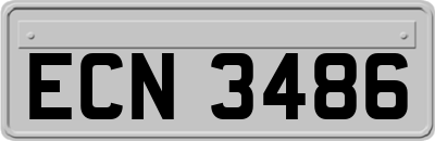 ECN3486