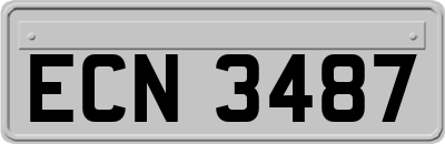 ECN3487