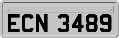 ECN3489