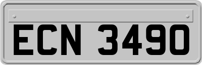 ECN3490