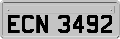 ECN3492