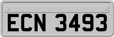 ECN3493
