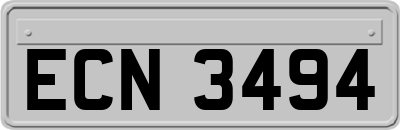 ECN3494