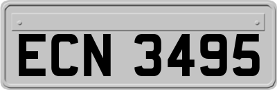 ECN3495